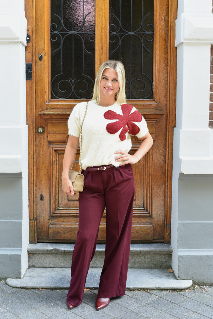 Vireo pantalon in 2 kleuren