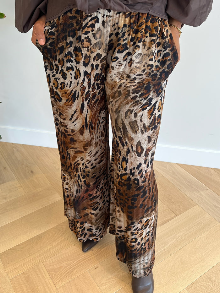Graus broek