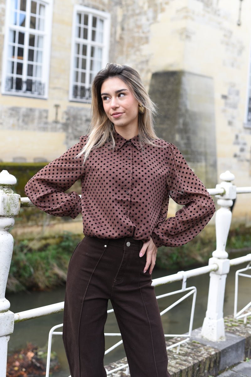 Suzy blouse bruin