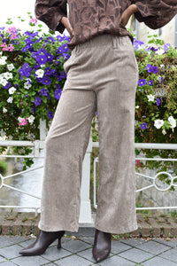 Zylen pantalon in 2 kleuren