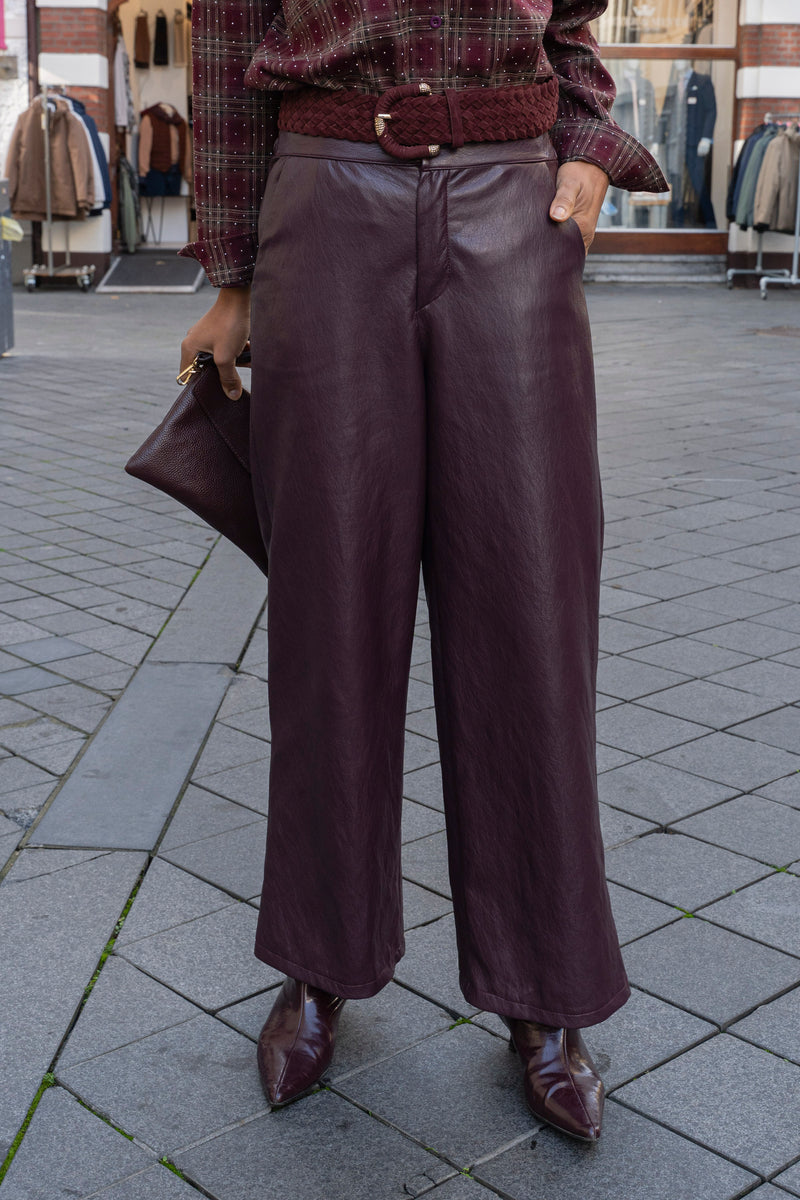 Zora Leather Broek in 2 kleuren